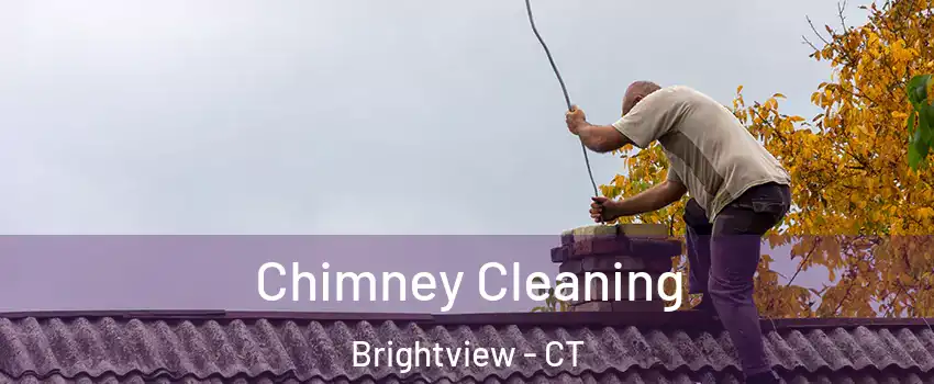 Chimney Cleaning Brightview - CT