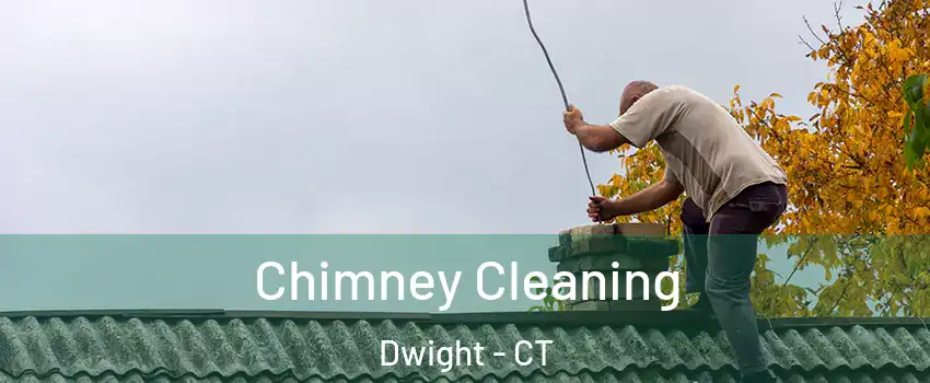Chimney Cleaning Dwight - CT