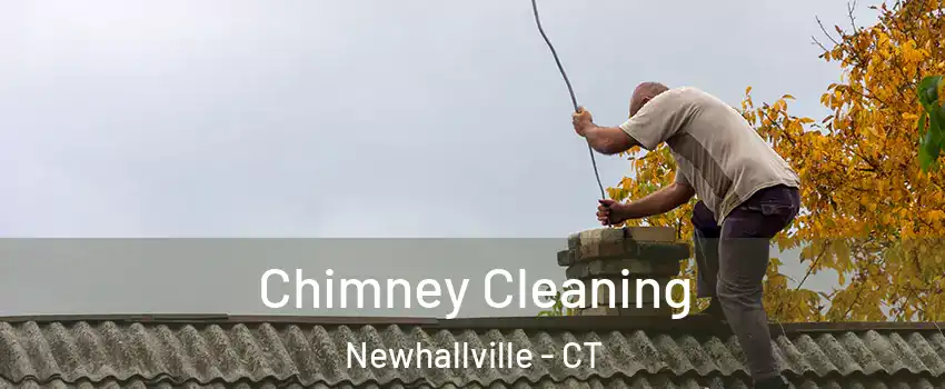 Chimney Cleaning Newhallville - CT
