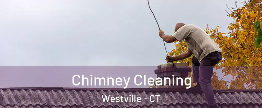 Chimney Cleaning Westville - CT
