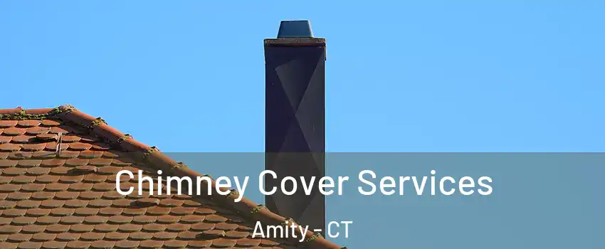 Chimney Cover Services Amity - CT
