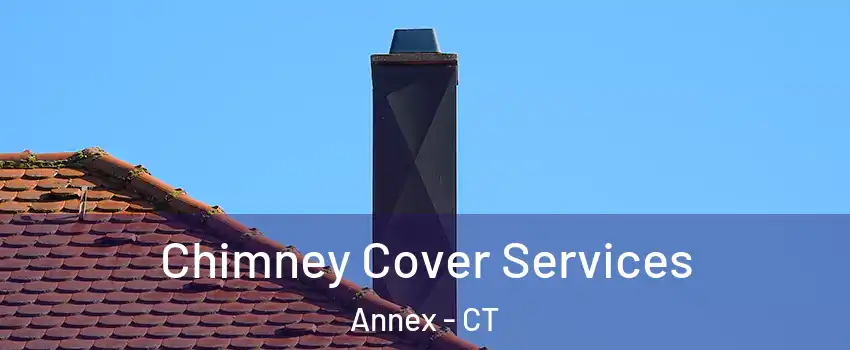 Chimney Cover Services Annex - CT