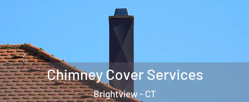 Chimney Cover Services Brightview - CT