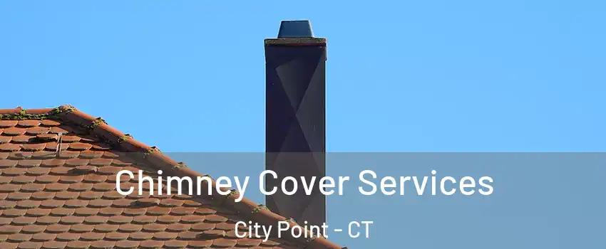 Chimney Cover Services City Point - CT