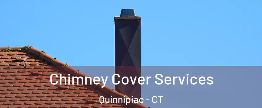 Chimney Cover Services Quinnipiac - CT