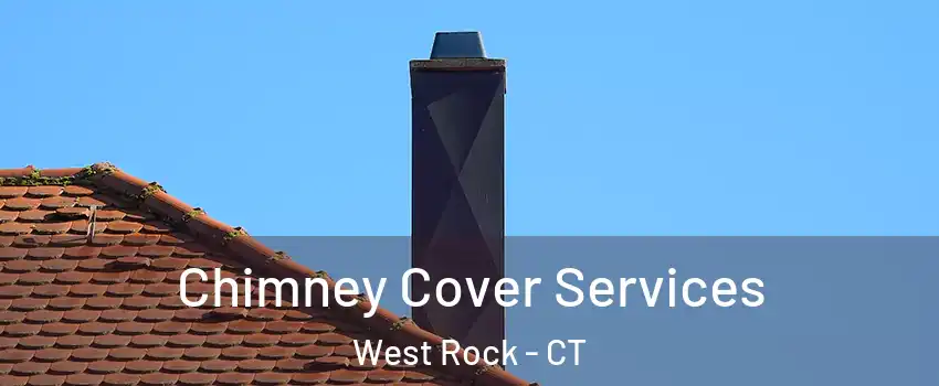 Chimney Cover Services West Rock - CT