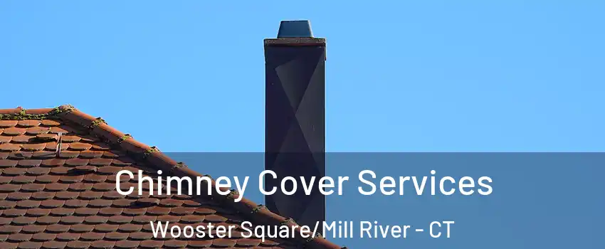 Chimney Cover Services Wooster Square/Mill River - CT