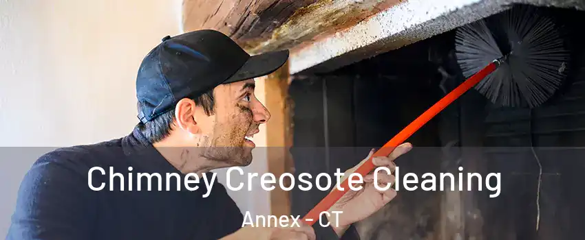 Chimney Creosote Cleaning Annex - CT
