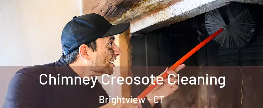 Chimney Creosote Cleaning Brightview - CT