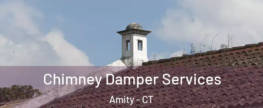 Chimney Damper Services Amity - CT