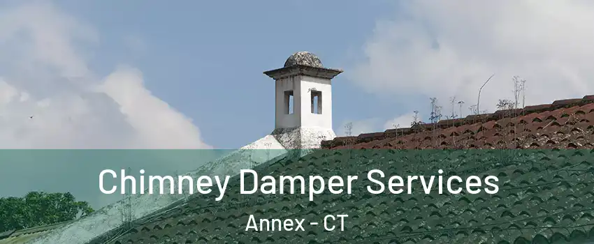 Chimney Damper Services Annex - CT