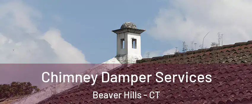 Chimney Damper Services Beaver Hills - CT