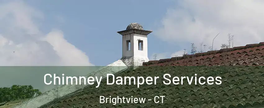Chimney Damper Services Brightview - CT