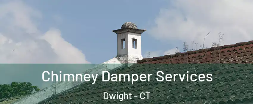 Chimney Damper Services Dwight - CT