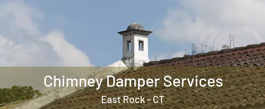 Chimney Damper Services East Rock - CT