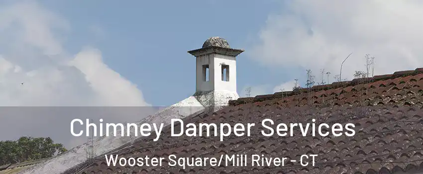 Chimney Damper Services Wooster Square/Mill River - CT