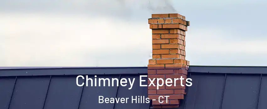 Chimney Experts Beaver Hills - CT