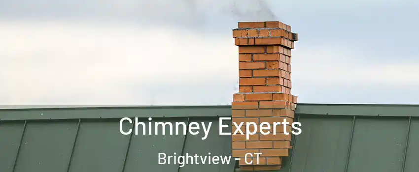 Chimney Experts Brightview - CT