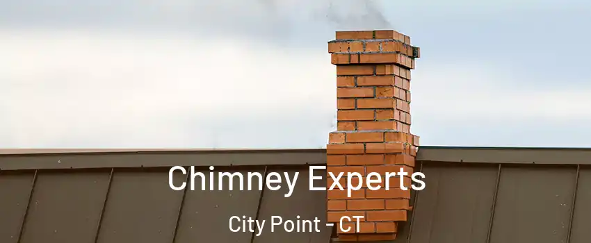 Chimney Experts City Point - CT