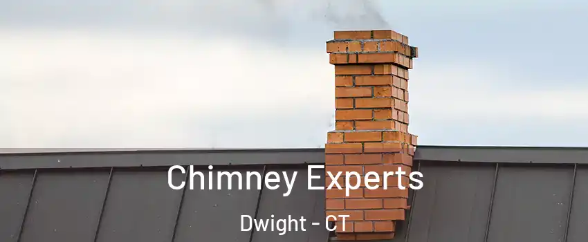 Chimney Experts Dwight - CT
