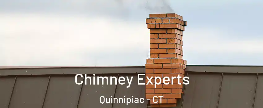 Chimney Experts Quinnipiac - CT