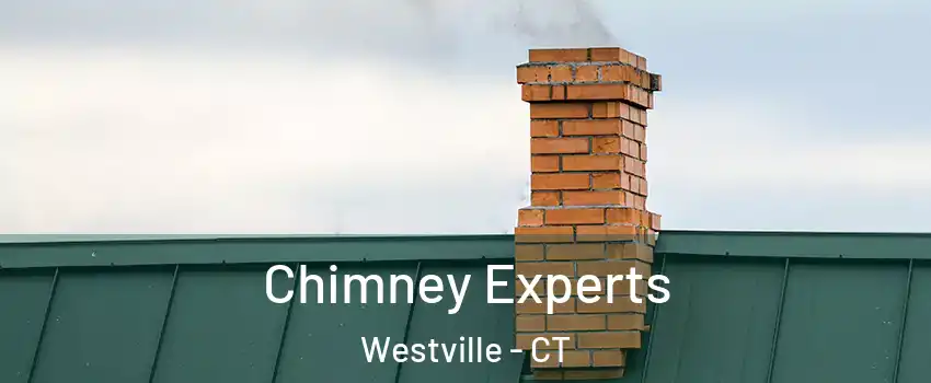 Chimney Experts Westville - CT