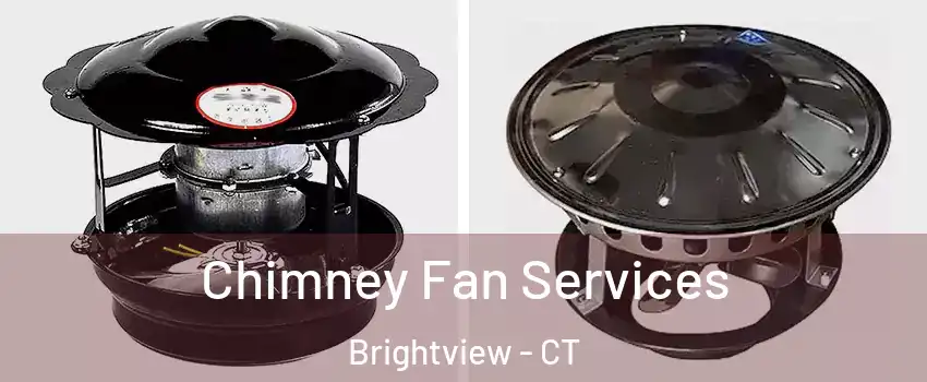 Chimney Fan Services Brightview - CT