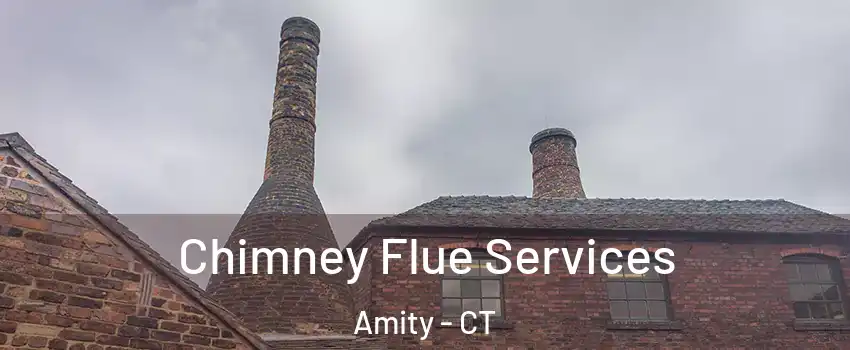 Chimney Flue Services Amity - CT