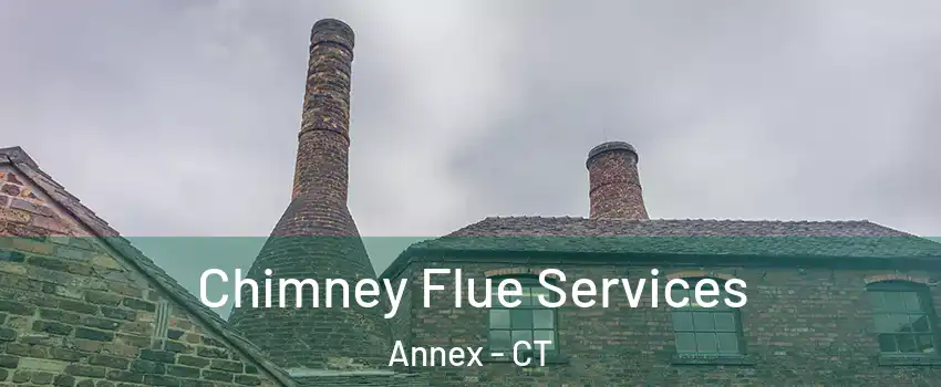 Chimney Flue Services Annex - CT