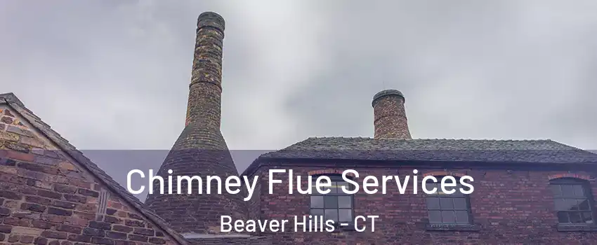 Chimney Flue Services Beaver Hills - CT