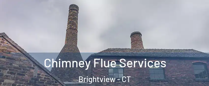Chimney Flue Services Brightview - CT