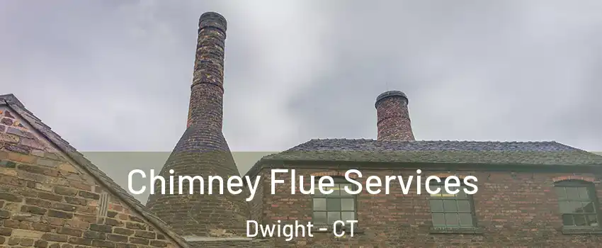 Chimney Flue Services Dwight - CT
