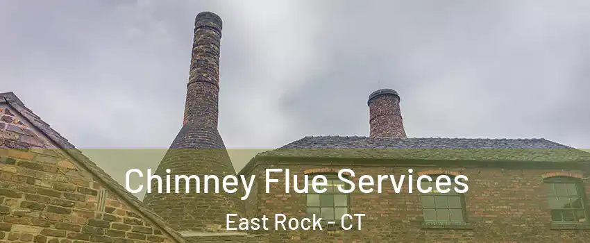 Chimney Flue Services East Rock - CT