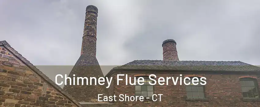 Chimney Flue Services East Shore - CT