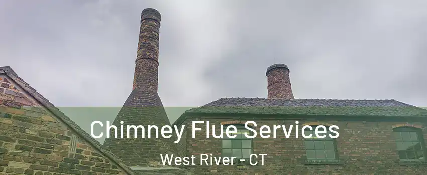 Chimney Flue Services West River - CT