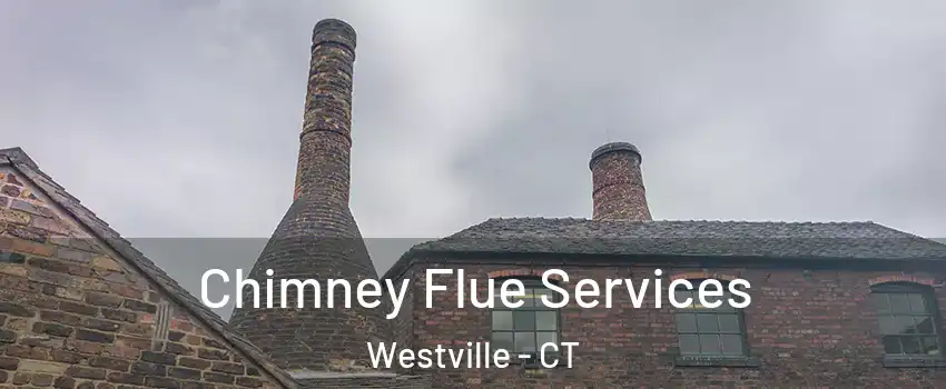Chimney Flue Services Westville - CT