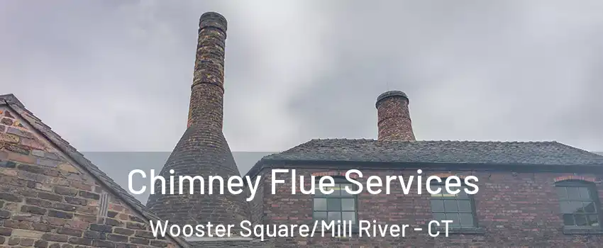Chimney Flue Services Wooster Square/Mill River - CT