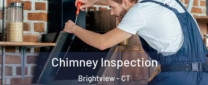 Chimney Inspection Brightview - CT