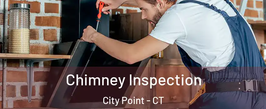 Chimney Inspection City Point - CT