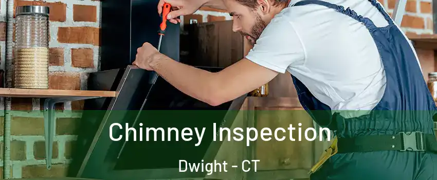 Chimney Inspection Dwight - CT