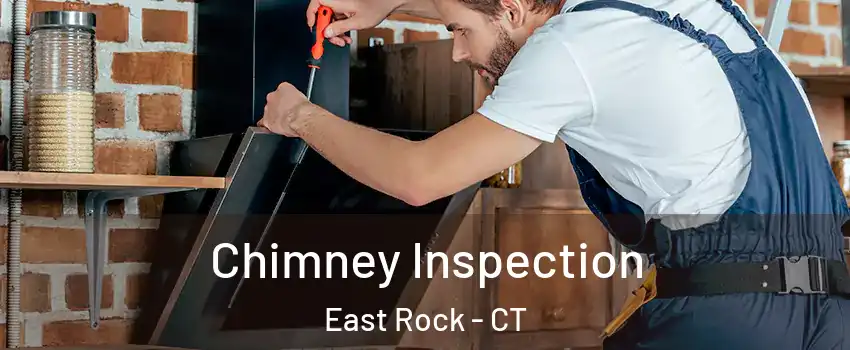 Chimney Inspection East Rock - CT