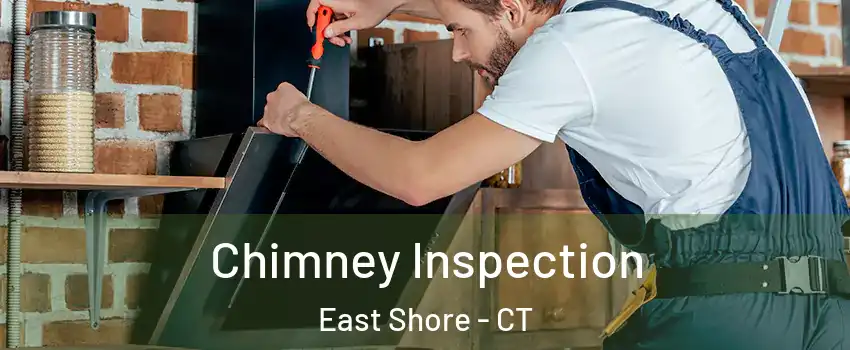 Chimney Inspection East Shore - CT