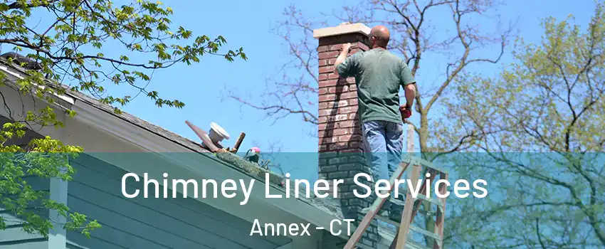 Chimney Liner Services Annex - CT