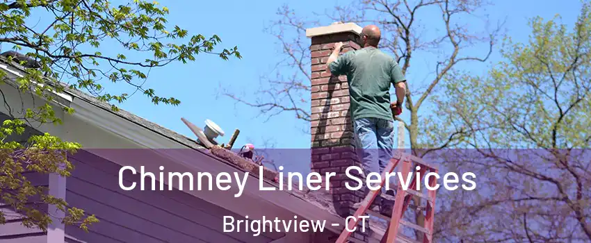 Chimney Liner Services Brightview - CT