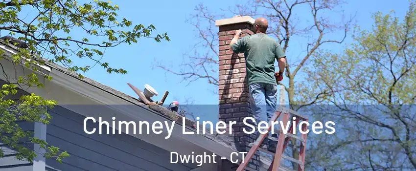 Chimney Liner Services Dwight - CT