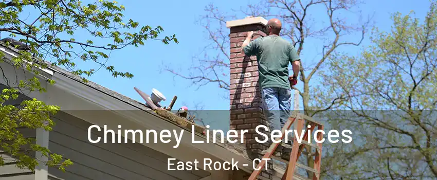 Chimney Liner Services East Rock - CT