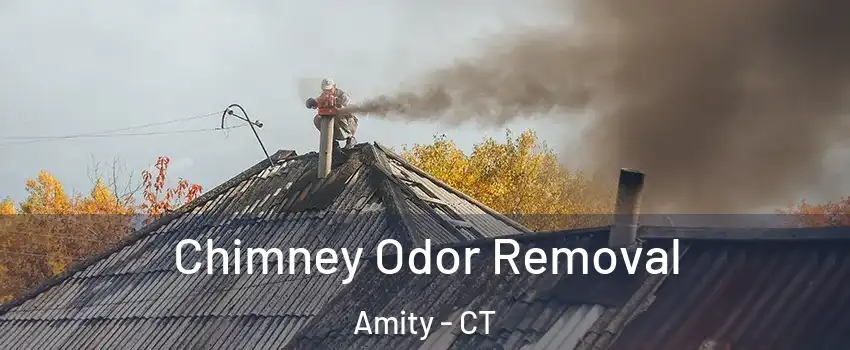Chimney Odor Removal Amity - CT