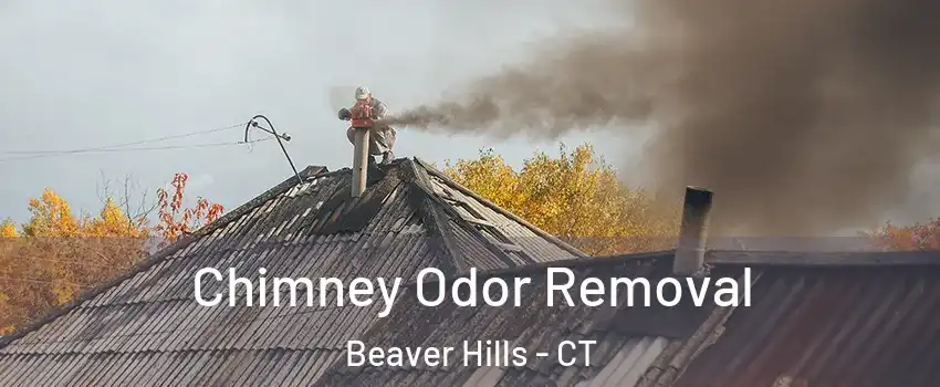 Chimney Odor Removal Beaver Hills - CT