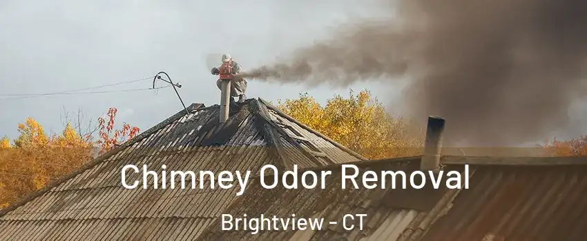 Chimney Odor Removal Brightview - CT