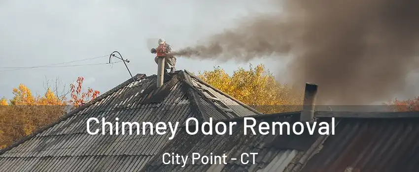 Chimney Odor Removal City Point - CT